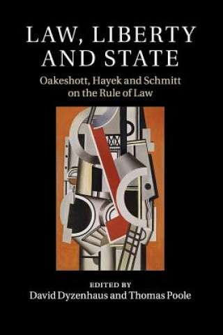 Kniha Law, Liberty and State EDITED BY DAVID DYZE