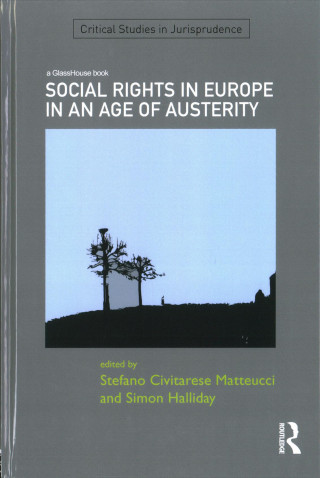 Kniha Social Rights in Europe in an Age of Austerity 