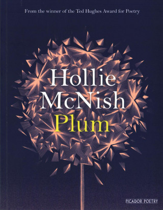 Kniha Plum Hollie McNish
