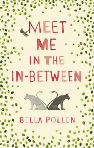 Kniha Meet Me in the In-Between Bella Pollen