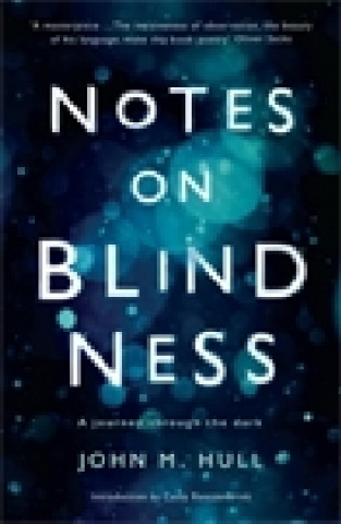 Kniha Notes on Blindness John Hull