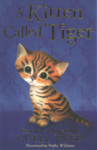 Kniha Kitten Called Tiger Holly Webb