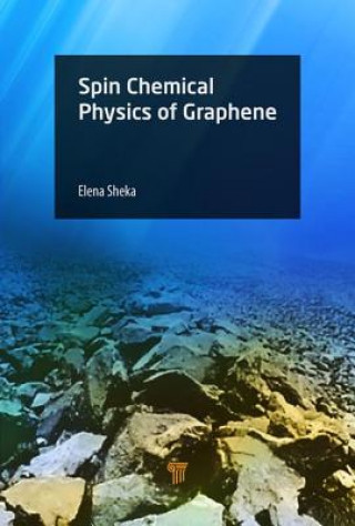 Livre Spin Chemical Physics of Graphene 