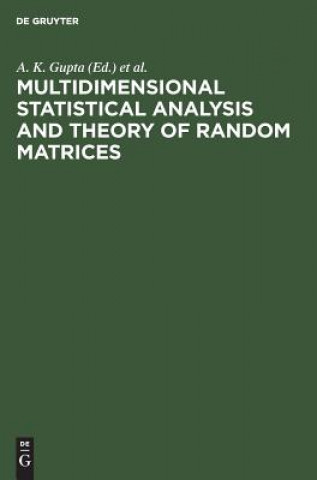 Knjiga Multidimensional Statistical Analysis and Theory of Random Matrices V. L. Girko