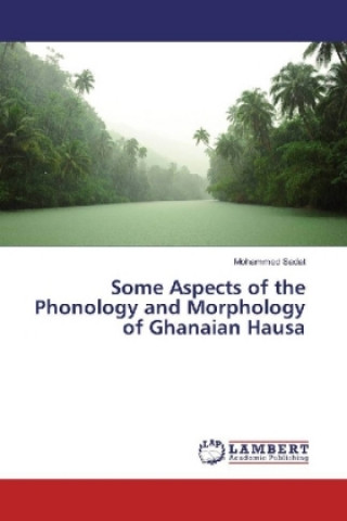 Könyv Some Aspects of the Phonology and Morphology of Ghanaian Hausa Mohammed Sadat