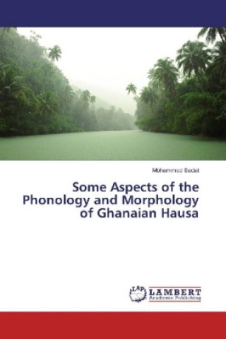 Book Some Aspects of the Phonology and Morphology of Ghanaian Hausa Mohammed Sadat