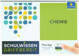 Книга Schulwissen griffbereit - Chemie Iris Schneider