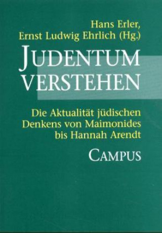 Kniha Judentum verstehen Hans Erler