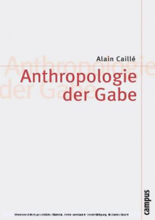 Könyv Anthropologie der Gabe Alain Caillé