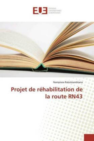 Könyv Projet de réhabilitation de la route RN43 Nampisoa Rakotoandriana
