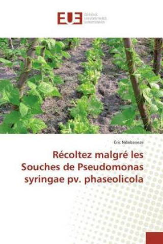 Book Récoltez malgré les Souches de Pseudomonas syringae pv. phaseolicola Eric Ndabaneze