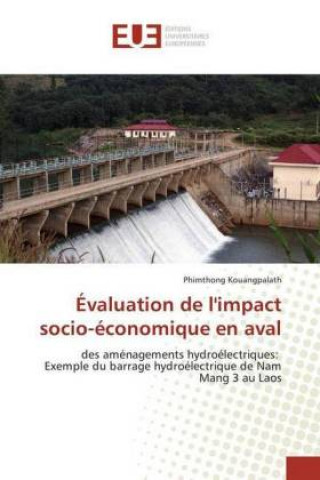 Buch Évaluation de l'impact socio-économique en aval Phimthong Kouangpalath