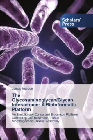 Книга The Glycosaminoglycan/Glycan Interactome: A Bioinformatic Platform James Melrose