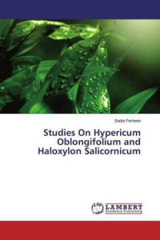 Kniha Studies On Hypericum Oblongifolium and Haloxylon Salicornicum Sadia Ferheen