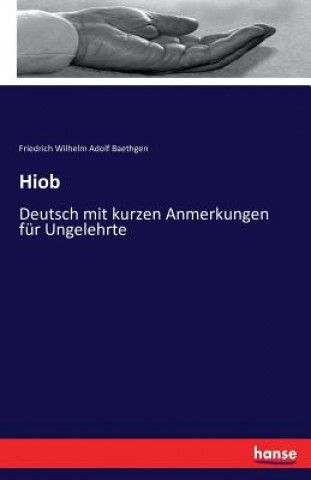 Könyv Hiob Friedrich Wilhelm Adolf Baethgen