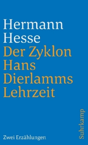 Kniha Der Zyklon und Hans Dierlamms Lehrzeit Hermann Hesse