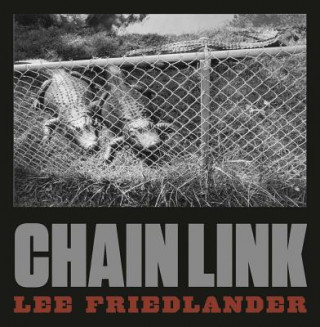 Könyv Lee Friedlander: Chain Link Lee Friedlander