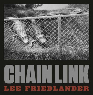 Книга Lee Friedlander: Chain Link Lee Friedlander