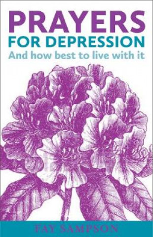 Könyv Prayers for Depression Fay Sampson
