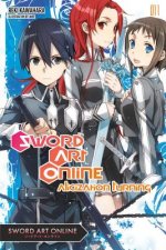 Könyv Sword Art Online 11 (light novel) Reki Kawahara