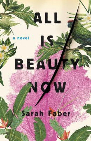 Kniha All Is Beauty Now Sarah Faber