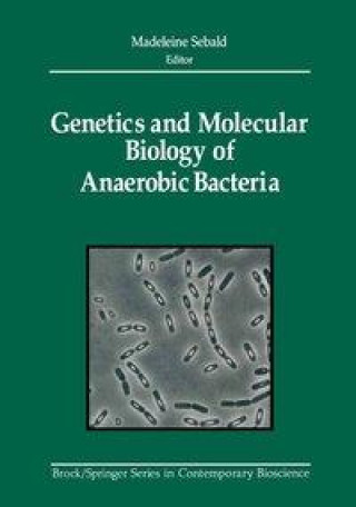 Kniha GENETICS & MOLECULAR BIOLOGY O Madeleine Sebald