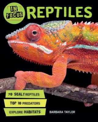 Książka In Focus: Reptiles Barbara Taylor