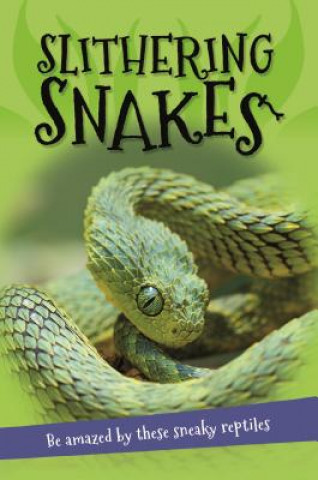 Książka It's All About... Slithering Snakes: Everything You Want to Know about Snakes in One Amazing Book Editors of Kingfisher