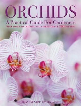 Книга Orchids Brian Rittershausen