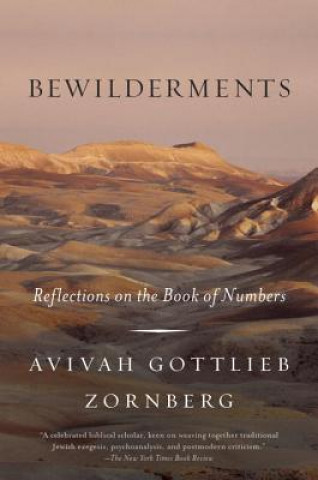 Kniha Bewilderments Avivah Gottlieb Zornberg