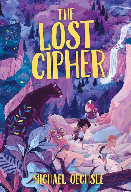 Book Lost Cipher Michael Oechsle