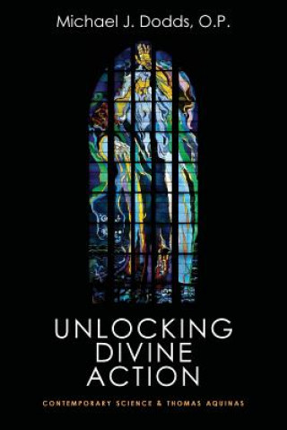Könyv Unlocking Divine Action Michael J. Dodds