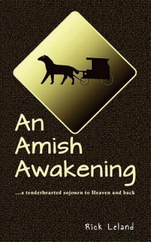 Kniha AMISH AWAKENING Rick Leland