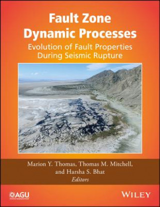 Kniha Fault Zone Dynamic Processes Marion Thomas