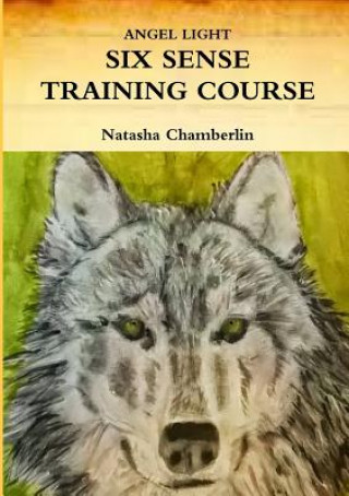 Könyv Heightening Claircognizance Course Natasha Chamberlin
