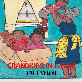 Kniha Grandkids in a Box! CM Taylor