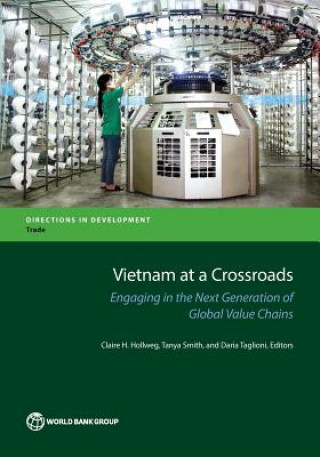 Book Vietnam at a crossroads Daria Taglioni