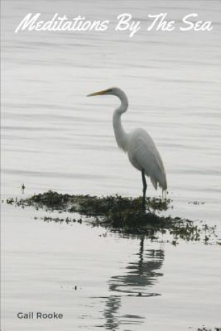 Книга Meditations By the Sea Gail Rooke