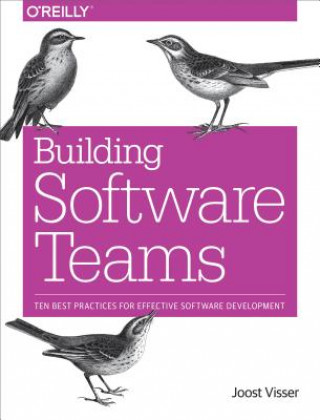 Könyv Building Software Teams Joost Visser