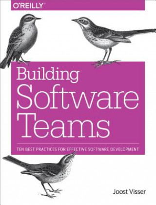 Buch Building Software Teams Joost Visser