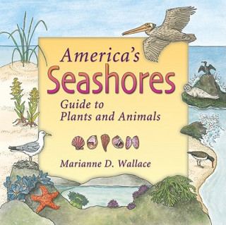 Книга AMER SEASHORES Marianne D. Wallace