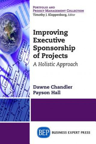Könyv Improving Executive Sponsorship of Projects Dawne E. Chandler