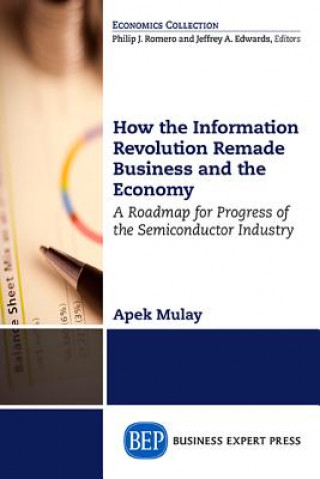 Книга How the Information Revolution Remade Business and the Economy Apek Mulay