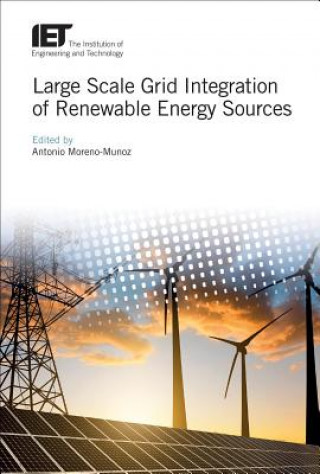 Kniha Large Scale Grid Integration of Renewable Energy Sources Antonio Moreno-Munoz