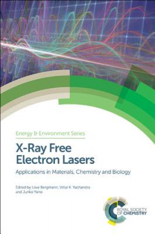 Kniha X-Ray Free Electron Lasers Bergmann