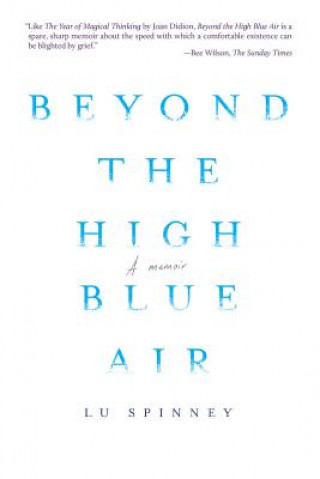 Buch Beyond the High Blue Air Lu Spinney