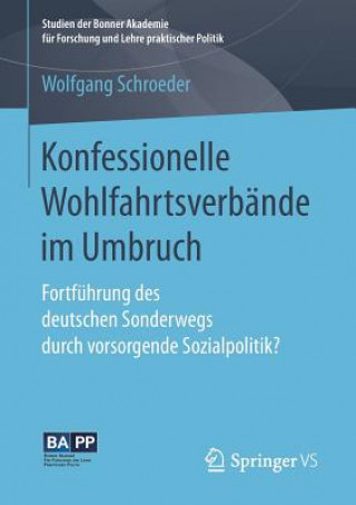 Könyv Konfessionelle Wohlfahrtsverbande Im Umbruch Wolfgang Schroeder