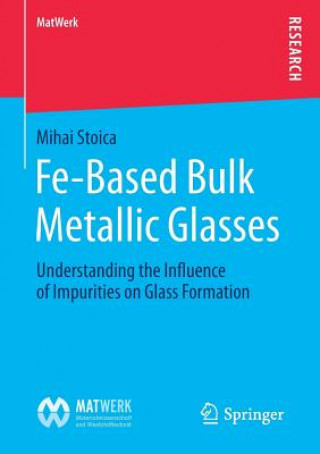 Książka Fe-Based Bulk Metallic Glasses Mihai Stoica