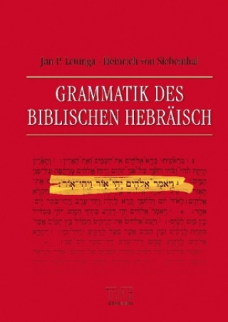 Book Grammatik des Biblischen Hebräisch Jan P. Lettinga