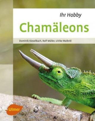 Könyv Chamäleons Dominik Kieselbach